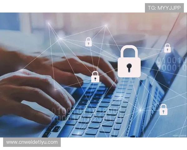 亚博YaBo电脑版官网安全性分析与用户隐私保护措施