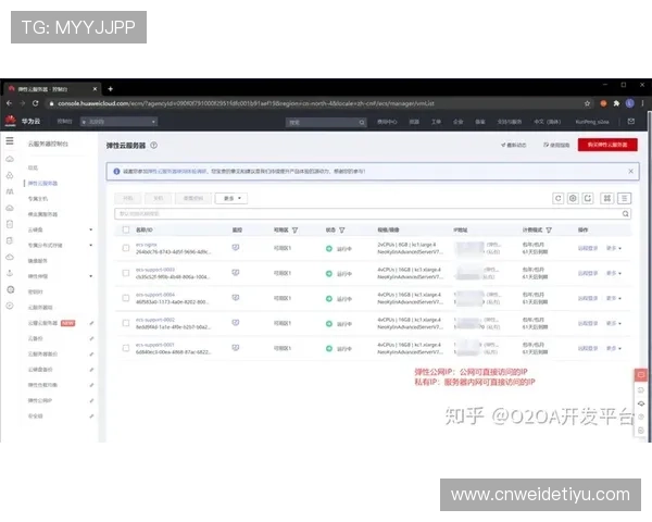 畅享开云网址登录线路的安全性及操作便捷性分析