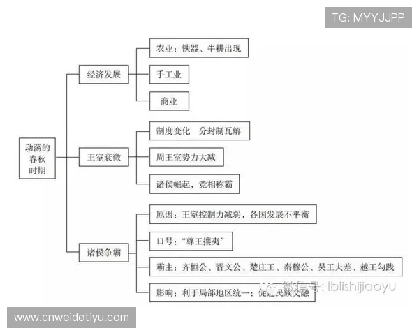 开云中国关网事件引发的行业变革与市场动荡分析