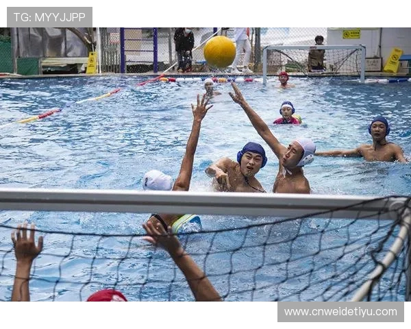 畅游球王会体育入口，带你体验真实的体育竞技乐趣及激情