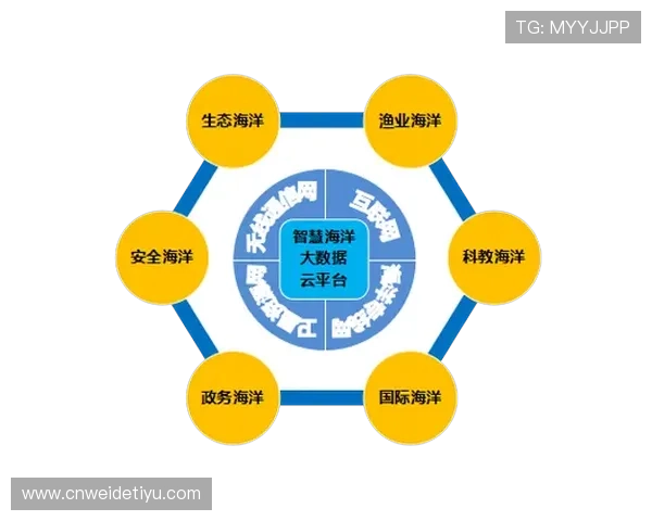 开云体育平台介绍：探索平台在体育行业中的应用案例和成功经验，助力行业健康可持续发展