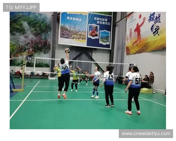 b0b体育：为体育爱好者提供全方位的赛事资讯与互动平台