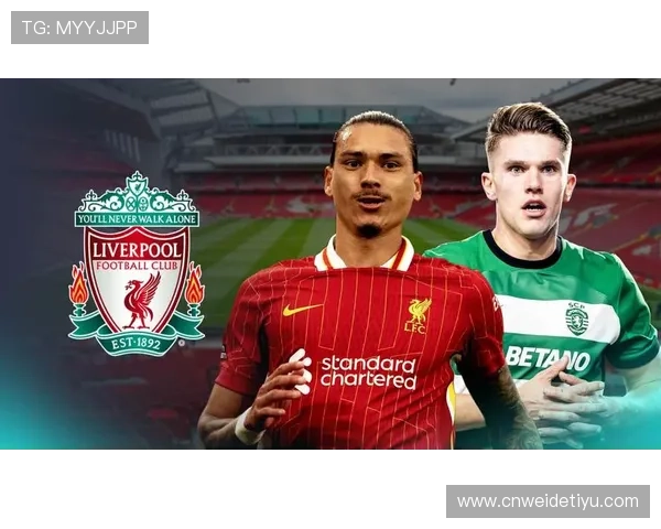 乐鱼体育娱乐官网全面覆盖足球篮球等热门体育项目，满足不同用户需求